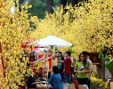Bật mí điểm Check-in “Siêu hot” lễ hội hoa xuân 2020 tại công viên Vinhomes Grand Park